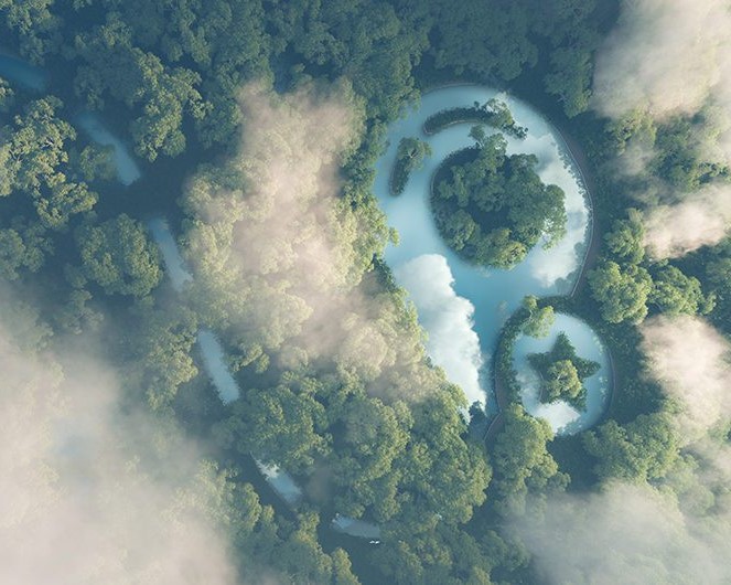 Carbon Footprint Tracking Systems